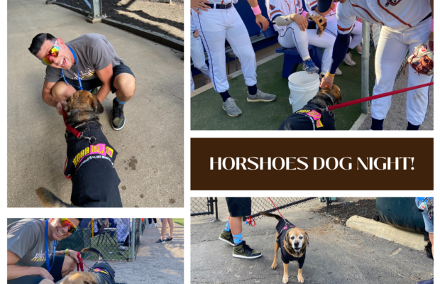 Dog night at the Shoes game!